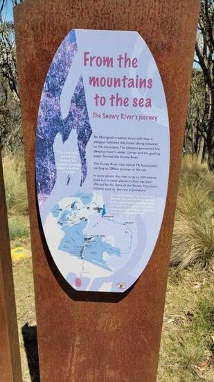 Der Snowy River hat diesen Canyon geformt