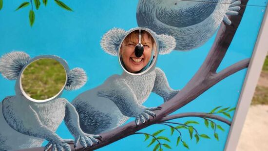 Da gab es noch einen seltsamen Koala zu sehen!
