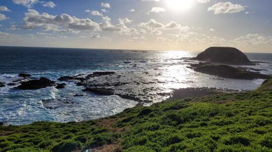 Blick zum Seelöwenfelsen
