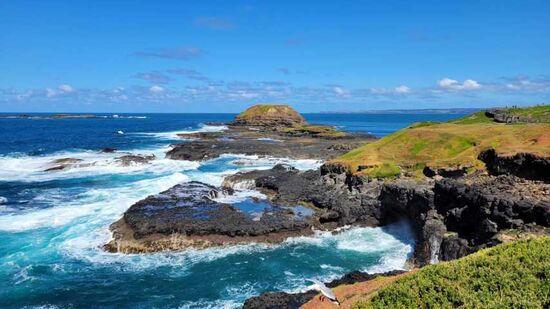 Schöne Küste mit vielen Seevögeln die gerade brüten!