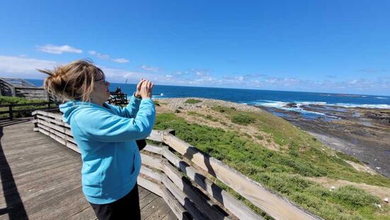Die Aussichtsplattform an der Felsnase Nobbies bietet Ausblicke über die große Kolonie von Südlichen Seebären an den Seal Rocks.