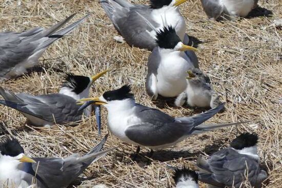 Der Fisch ging an ihm vorbei!