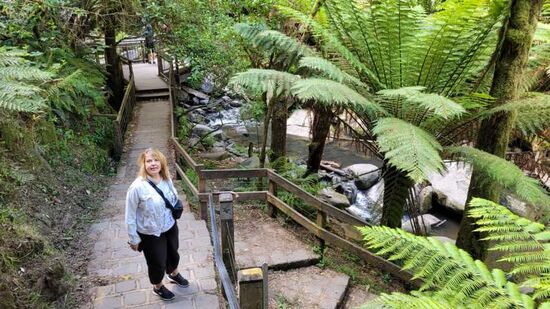 Wanderweg in den Talkessel vom Erskine Wasserfall