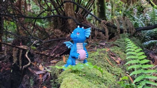 Unbekannte Wesen im Urwald