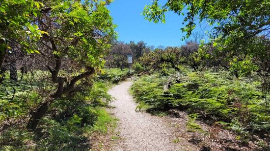 Eingang zum Arakwal NP