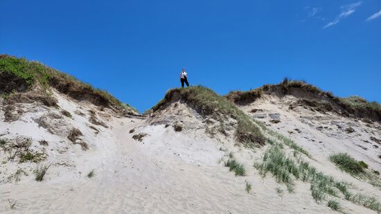 Riesige Dünenlandschaft