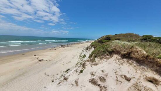 Besuch im Broadwater NP