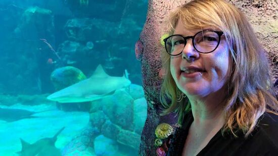 Erste Attraktion das Aquarium!