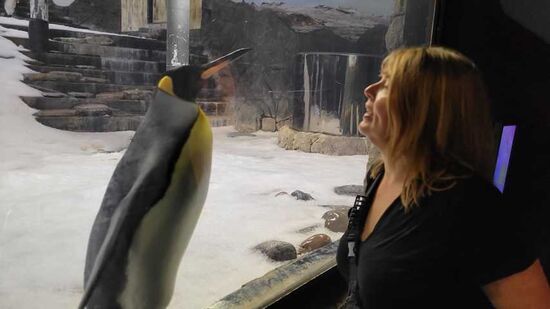 Gespräche unter Seelenverwandten