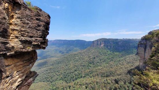 Durch die Eukalyptus Dämpfe leuchten die Mountains blau (Blue Mountains)