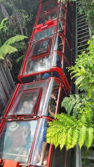 Mit dem Scenic Railway wieder nach oben