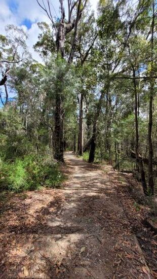 Wanderung zum Granite Falls (Morton National Park)
