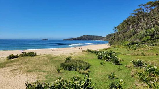 Pebbly Beach da war ich schon mal 2008 