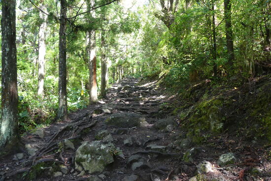 Durch den Wald zum Wasserfall