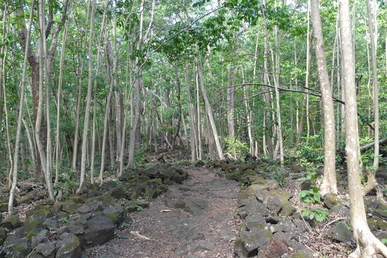 Der Weg ging über erkaltete Lava