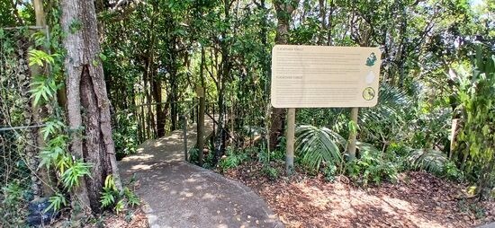 Start im Ebony Wald,  da war der Weg noch schön 