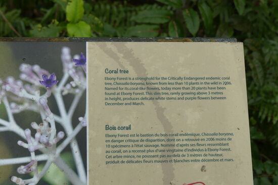 Auf dem Flycatcher Pfad gesehen