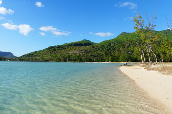 Nicht weit vom Strand: Hirschgeweihkorallen alle im guten Zustand.