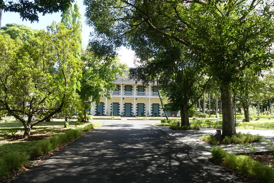 Besuch des Botanischen Garten in Pamplemousses