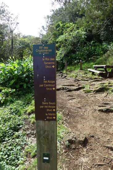 Das Waldgebiet Sentier ilet Alcide Nicht weit vom Kraterrand entfernt! Da war ich ganz alleine in der Natur.