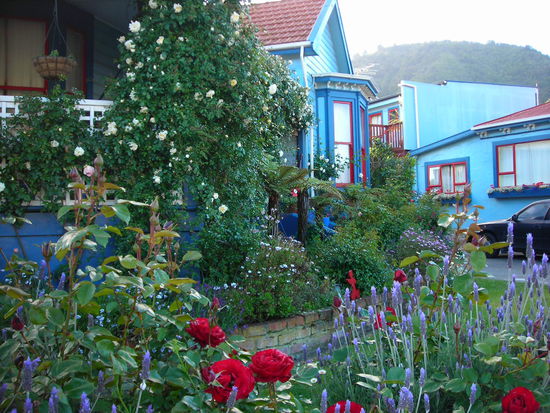 Wunderschöner Backpacker in Picton