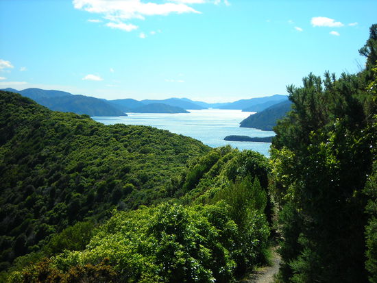 Marlborough Sounds bei schönstem Sonnenschein