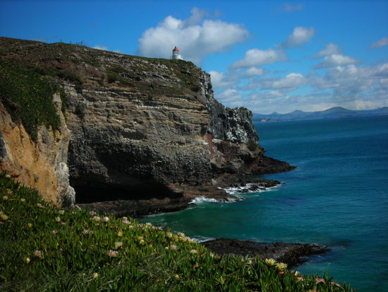Halbinsel bei Dunedin.