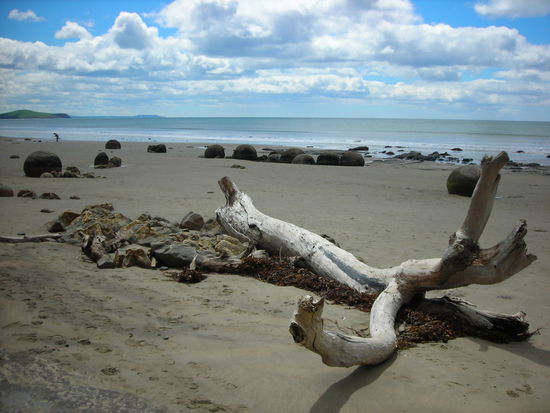 Moeraki Boulders auf dem Weg nach Christchurch