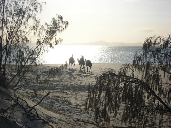 Scheiss suff! Fata Morgana am Morgen?