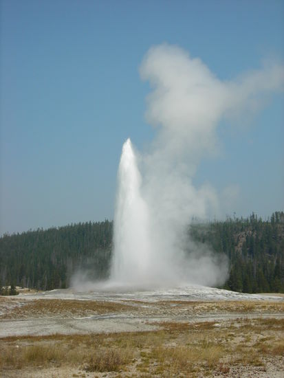 Old Faithful im Yellowstone NP