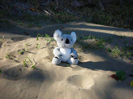 Einen guten Freund verlieren tut weh!