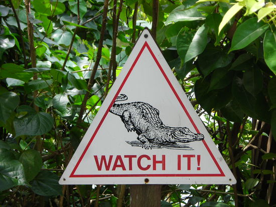 Achtung Blindschleichen unterwegs!