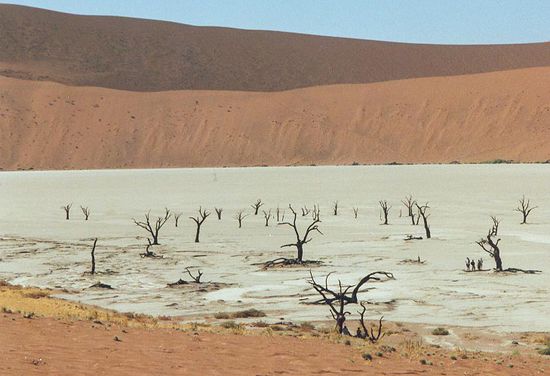Dead Vlei (war Mal ein See)