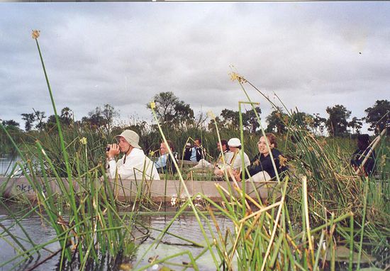 Beim beobachten von Nilpferden!