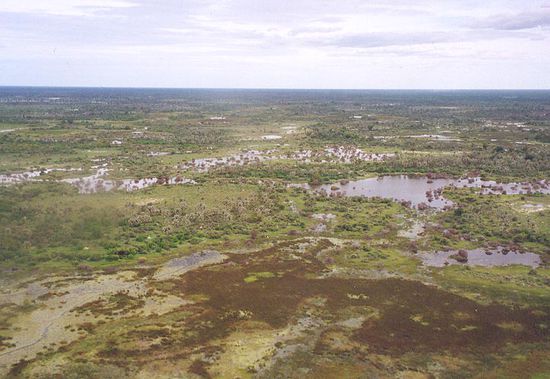 Okavango Delta von oben. Viele Elefanten gesehen.