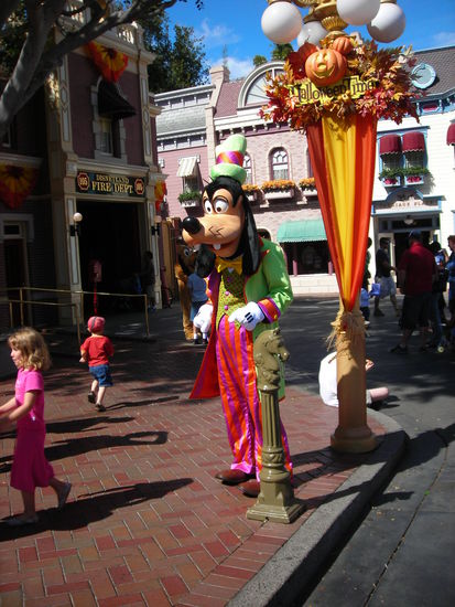 Ich habe Goofy die Hand geschüttelt!