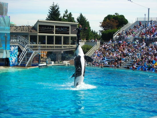 Shamu beim Frühstück!