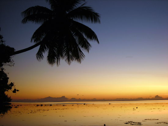 Jeden Abend dasselbe! 