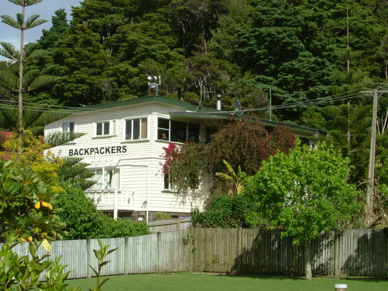 Backpacker Mousetrap in Paihia