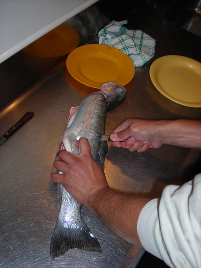 Es war nur ein kurzer Schnitt aber ein großer für unser Abendbrot!