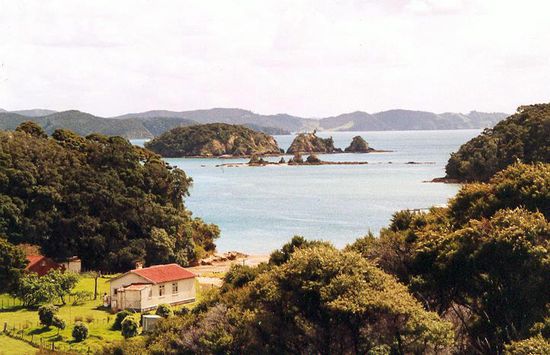 Eine der schönen Inseln in der Bay of Island!