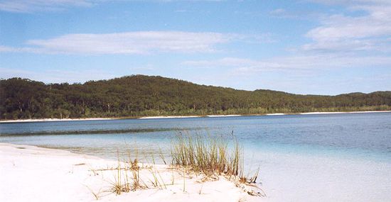 Strand am Lake McKenzie