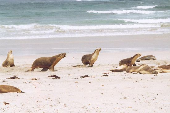 Kleine Auseinandersetzung zwischen Frauen! 
