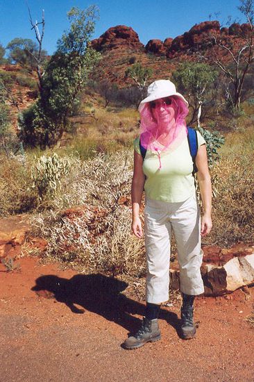 Fliegenschutz in Rosa?, Pink?, egal!