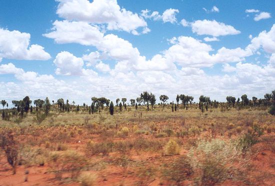 Australische Landschaft