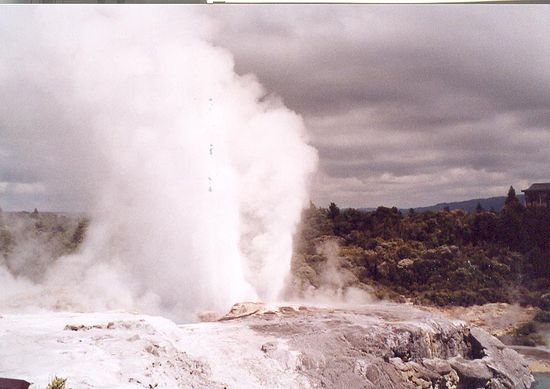 Pohutu Geysir in Action in Rotorua