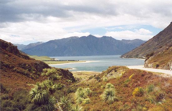 So stellt man sich Neuseeland vor! 