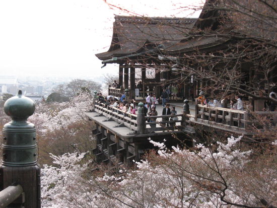 Kiyomizu-Tempel mit Kirchblueten