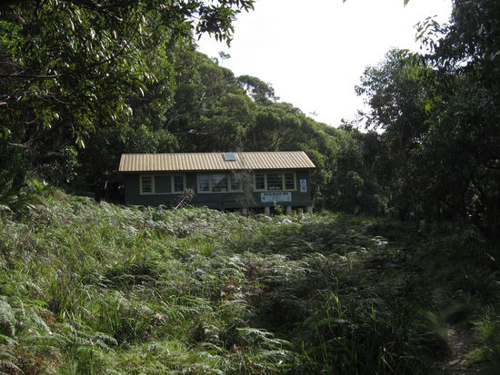 Allein in der Wildnis!