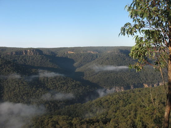 Morton NP bei Bundanoon
